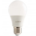 LED Light Bulbs
