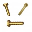 Brass Bolts