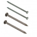 Stainless Steel Nails