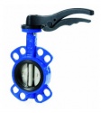 Butterfly Valves