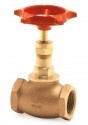 Globe Valves