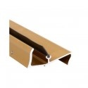 Door Sills Gold
