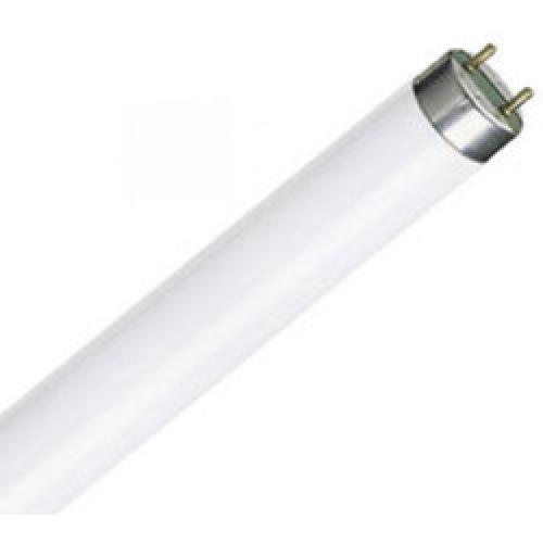 FLUORESCENT TUBE 2' 26MM 18W   T8