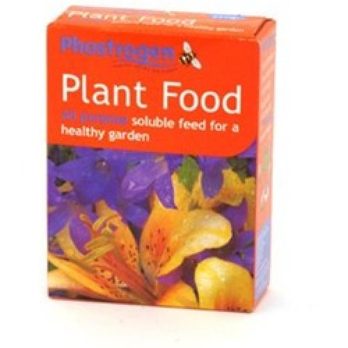 PLANT FOOD PHOSTROGEN 250G