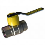 1" ANTI TAMPER SECURITY VALVE  ORSEAL